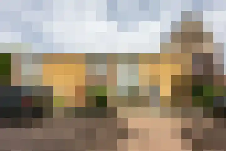 Bernhardlaan 27 Groningen thumbnail 36