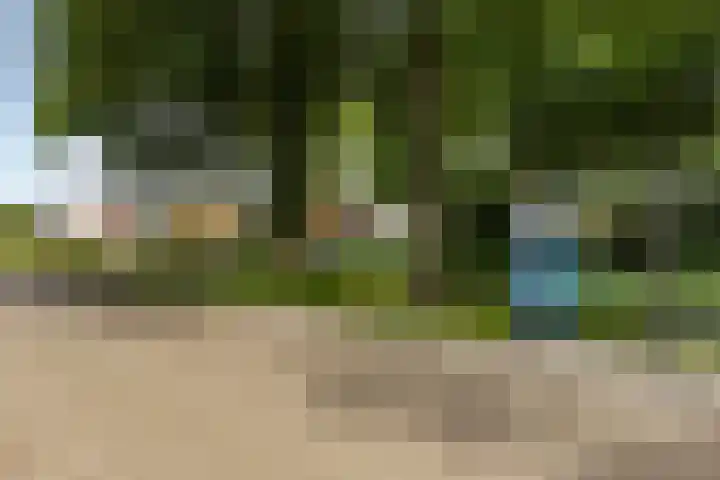 Bernhardlaan 27 Groningen thumbnail 38