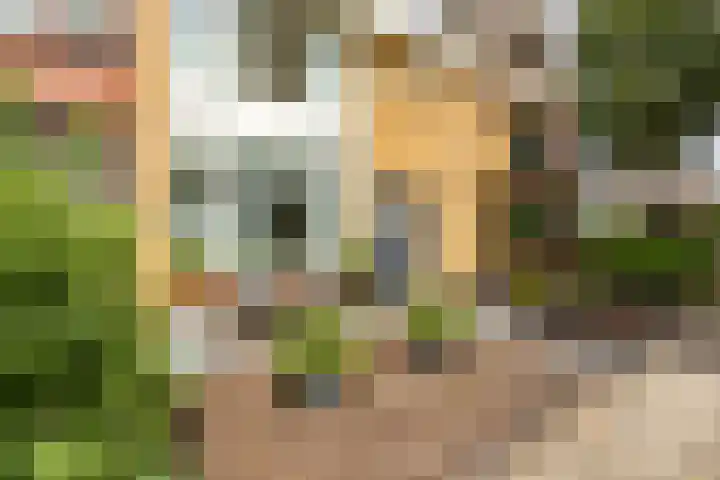 Bernhardlaan 27 Groningen thumbnail 5