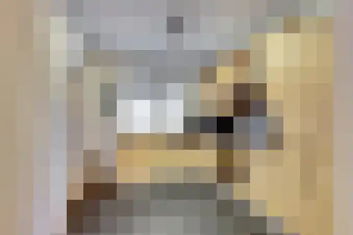Bernhardlaan 27 Nieuwlande thumbnail 12