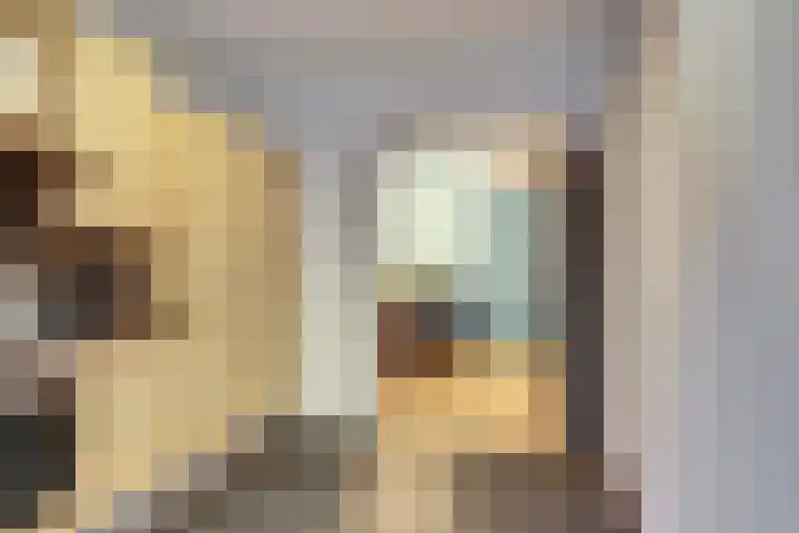 Bernhardlaan 27 Nieuwlande thumbnail 13