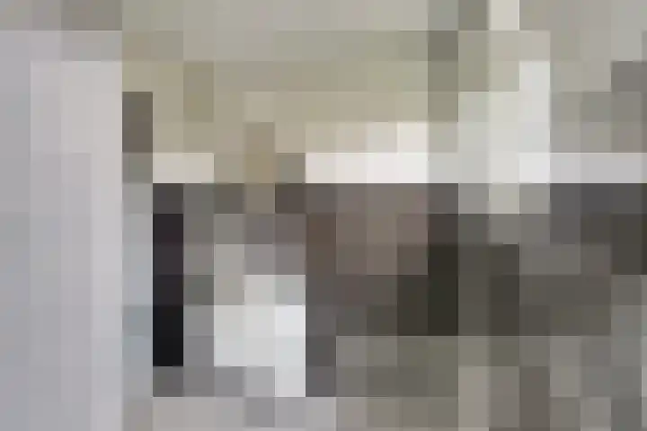 Bernhardlaan 27 Nieuwlande thumbnail 23