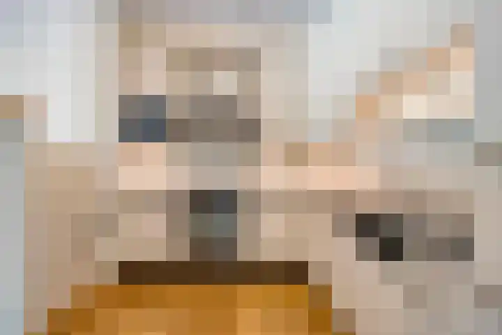 Bernhardlaan 27 Oss thumbnail 20