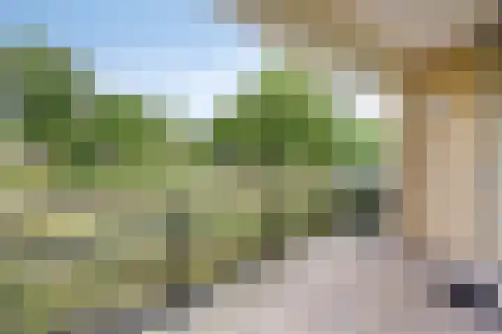 Bernhardlaan 27 Oss thumbnail 24