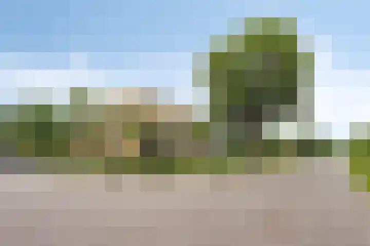 Bernhardlaan 27 Oss thumbnail 36