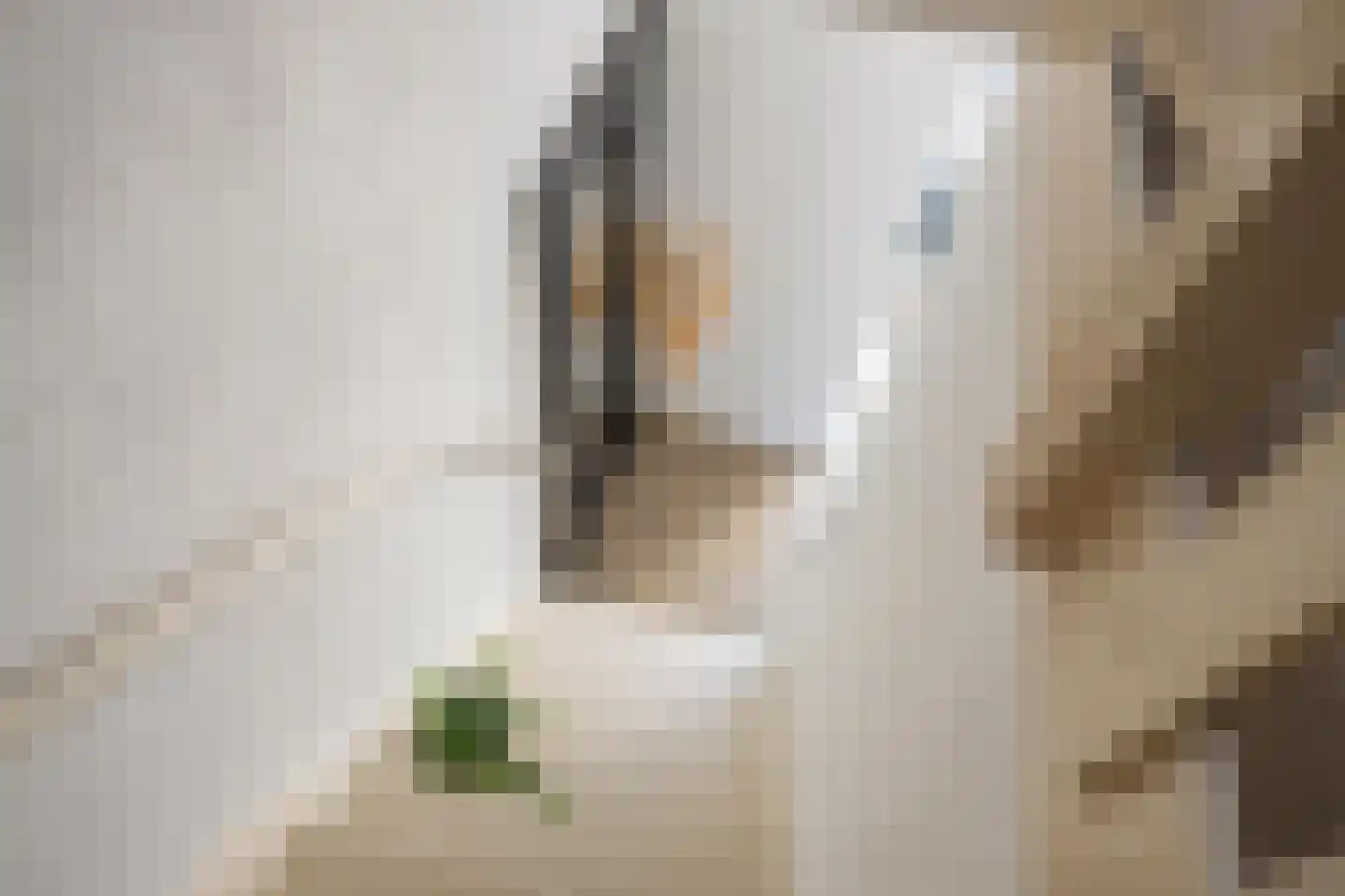 Bernhardlaan 28 Beusichem thumbnail 34