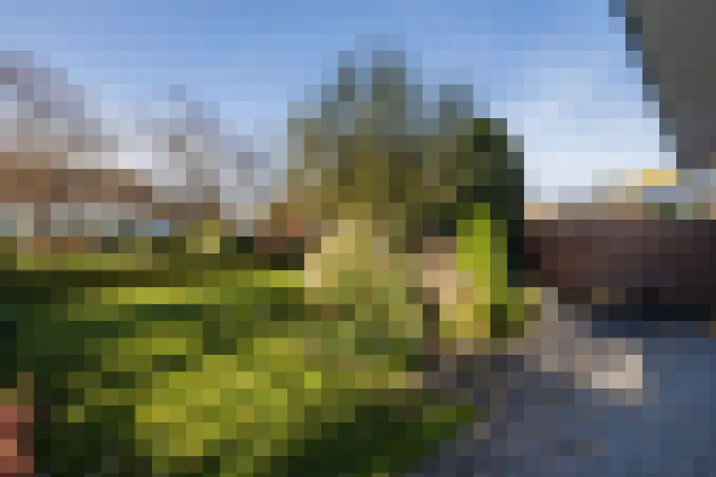 Bernhardlaan 28 Haastrecht thumbnail 33