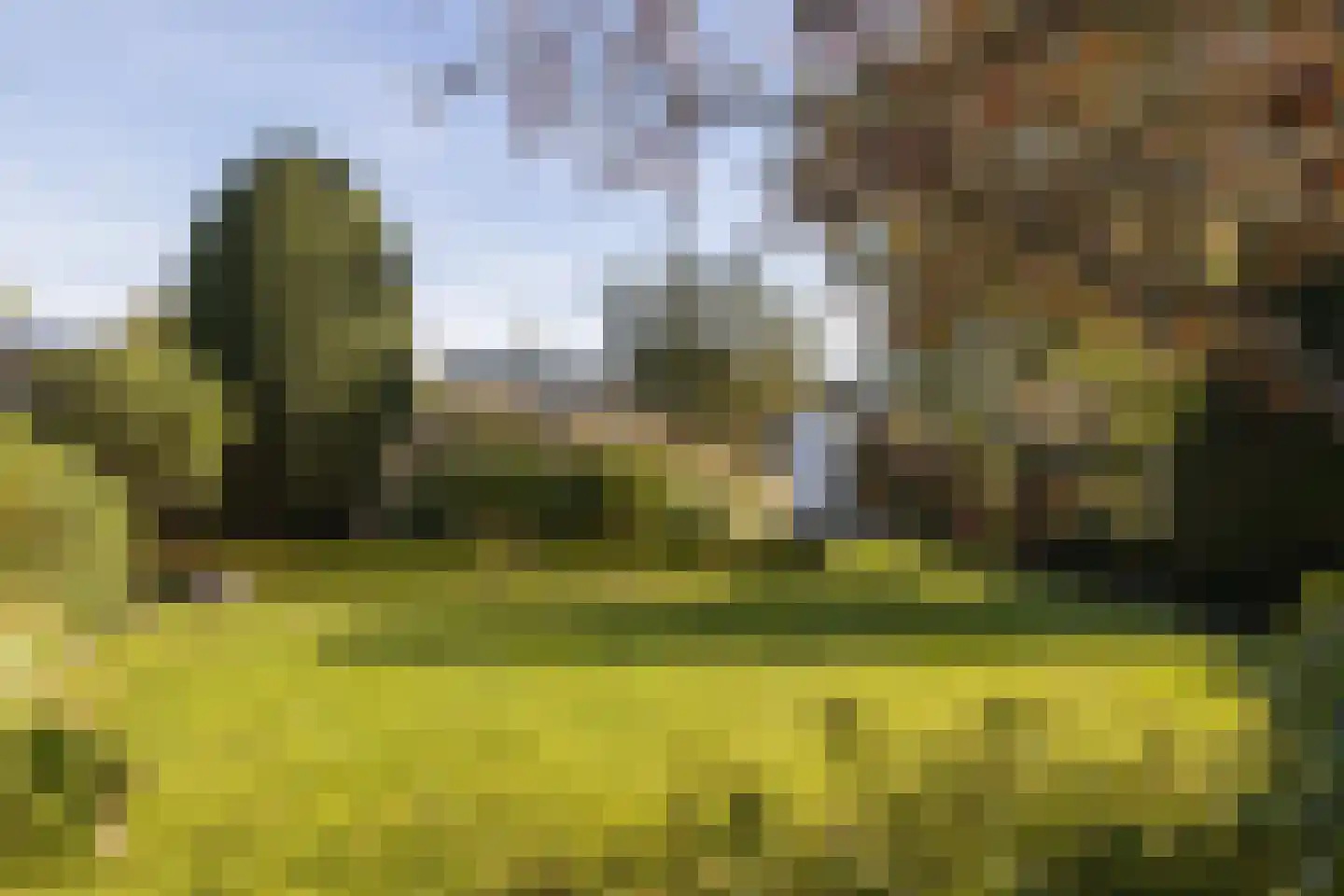 Bernhardlaan 28 Haastrecht thumbnail 34