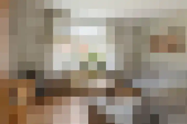 Bernhardlaan 3 Buren thumbnail 22