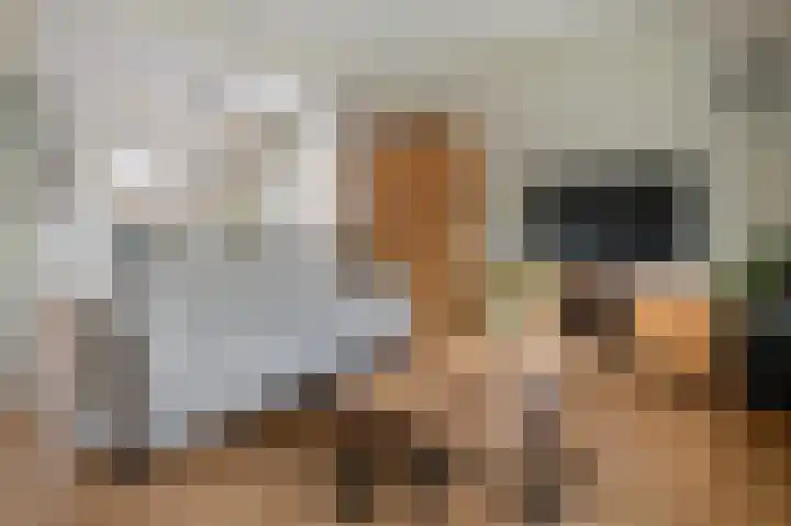 Bernhardlaan 3 Buren thumbnail 26
