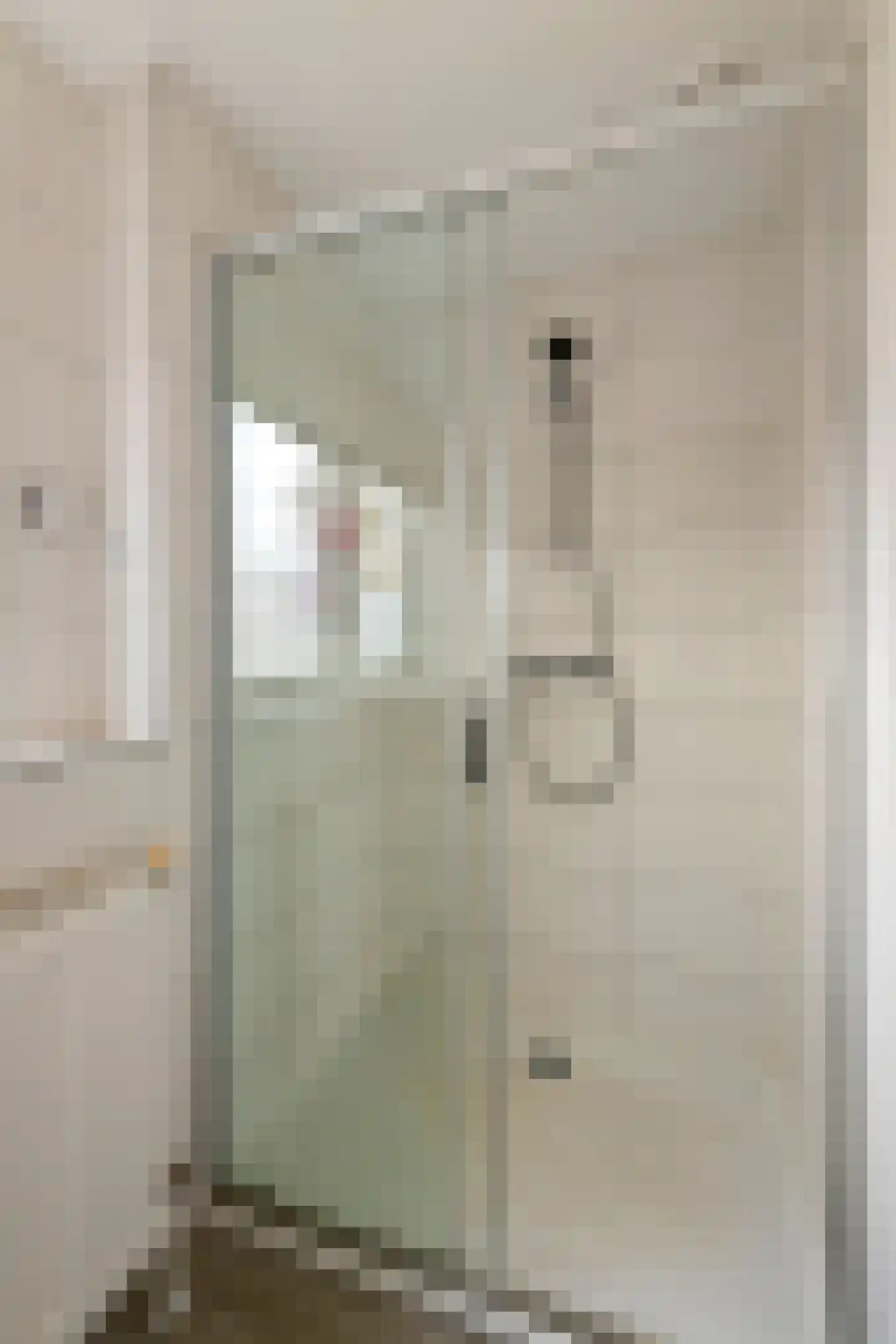 Bernhardlaan 3 Buren thumbnail 39