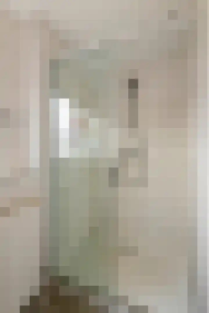 Bernhardlaan 3 Buren thumbnail 39