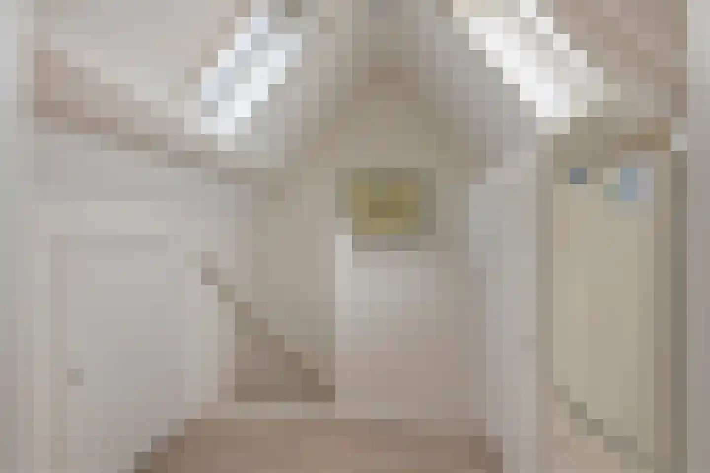 Bernhardlaan 3 Buren thumbnail 46