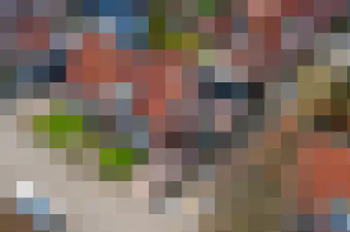 Bernhardlaan 3 Buren thumbnail 5