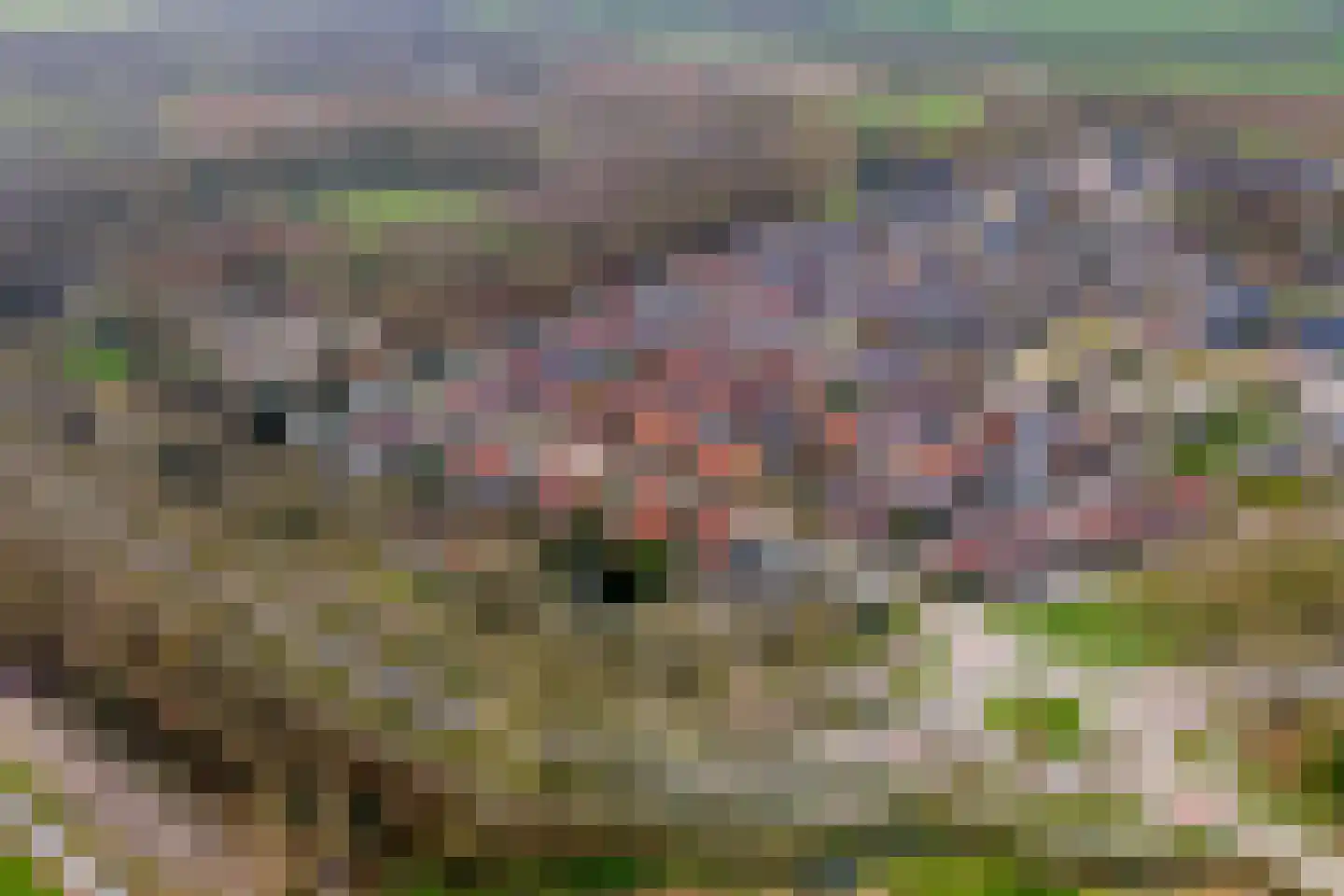 Bernhardlaan 3 Buren thumbnail 51