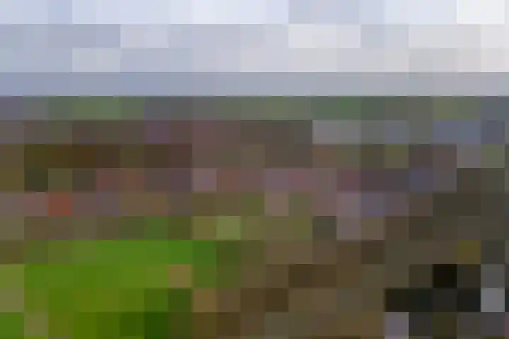 Bernhardlaan 3 Buren thumbnail 51