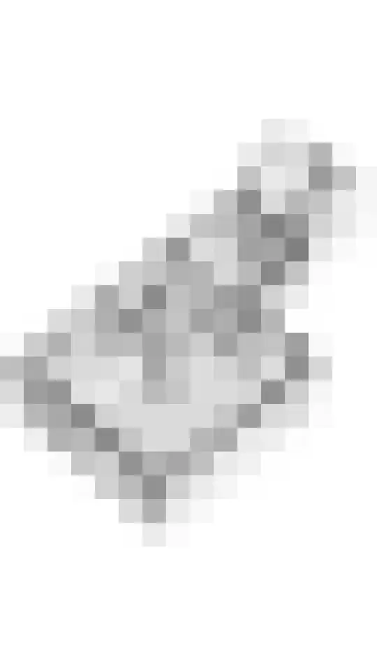 Bernhardlaan 3 Buren thumbnail 60