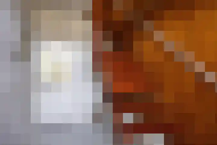 Bernhardlaan 3 Midlum thumbnail 12