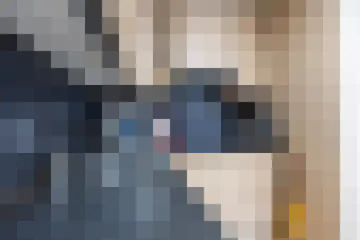 Bernhardlaan 3 Midlum thumbnail 23