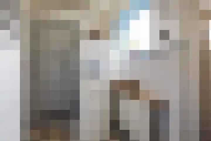 Bernhardlaan 3 Midlum thumbnail 26