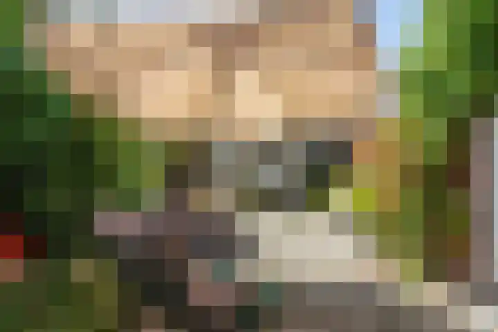 Bernhardlaan 3 Midlum thumbnail 34