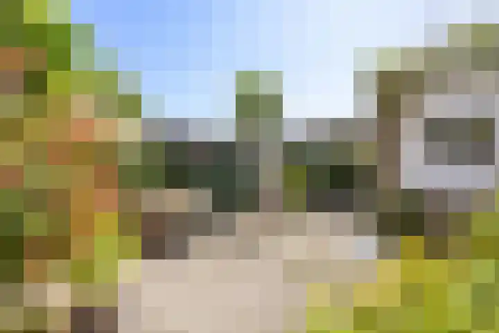 Bernhardlaan 3 Midlum thumbnail 35