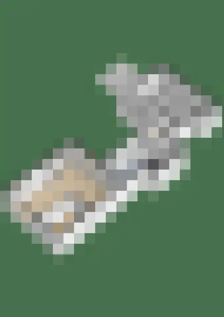 Bernhardlaan 3 Midlum thumbnail 54