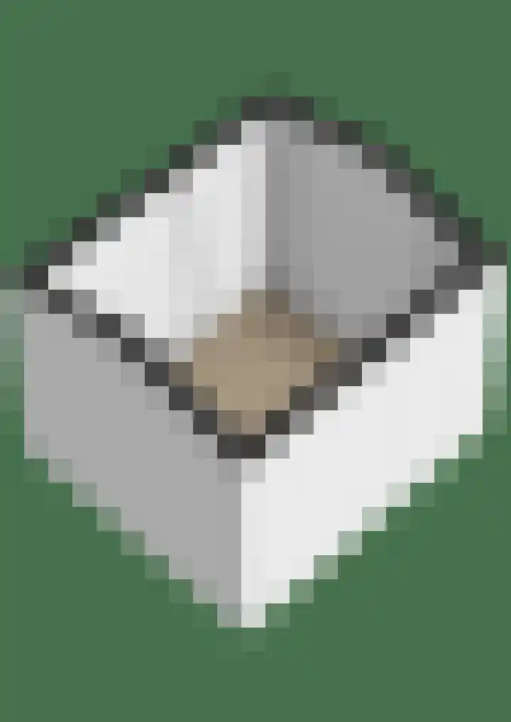 Bernhardlaan 3 Midlum thumbnail 58