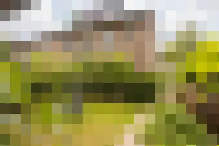 Bernhardlaan 30 Sittard thumbnail 21