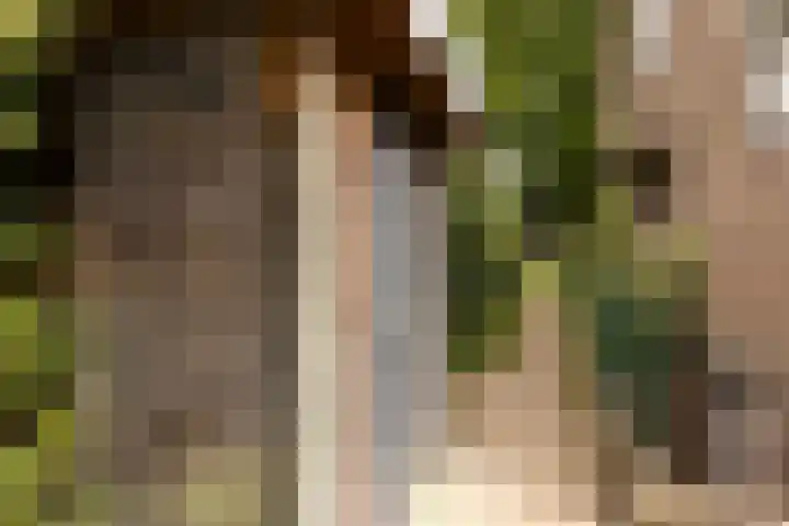 Bernhardlaan 30 Sittard thumbnail 22