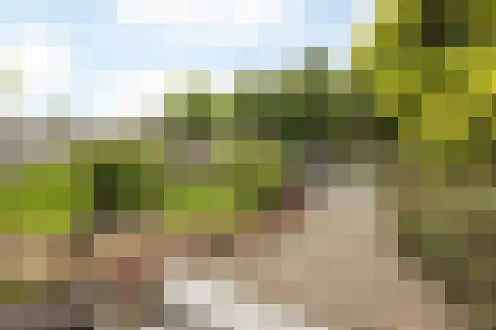 Bernhardlaan 31 Margraten thumbnail 26