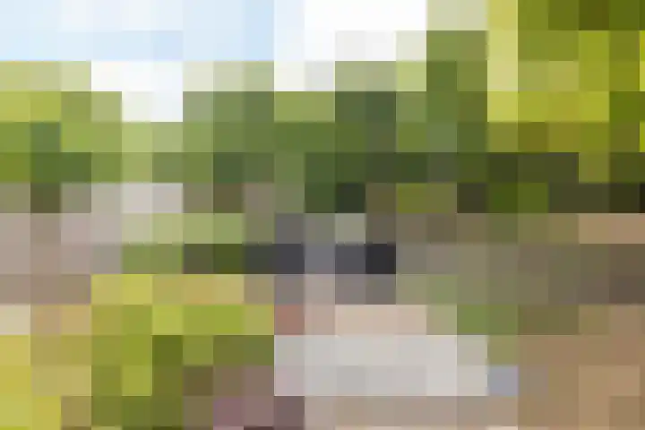 Bernhardlaan 31 Margraten thumbnail 27