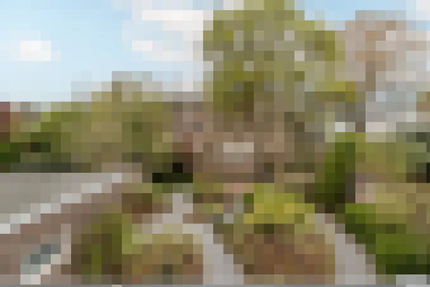 Bernhardlaan 33 Sittard thumbnail 27