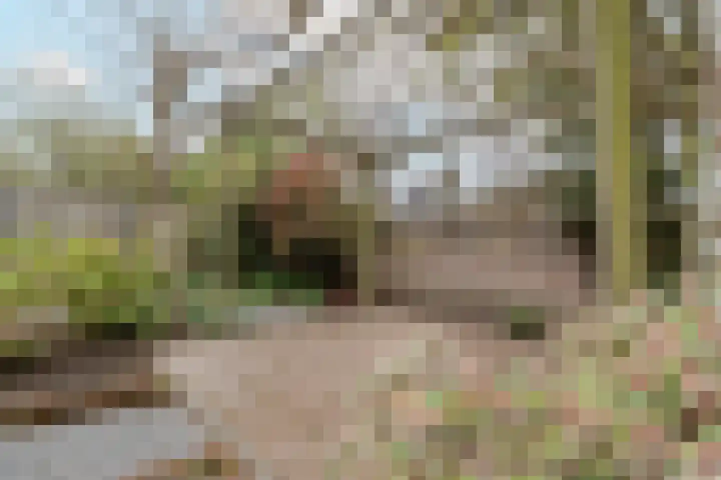 Bernhardlaan 33 Sittard thumbnail 42