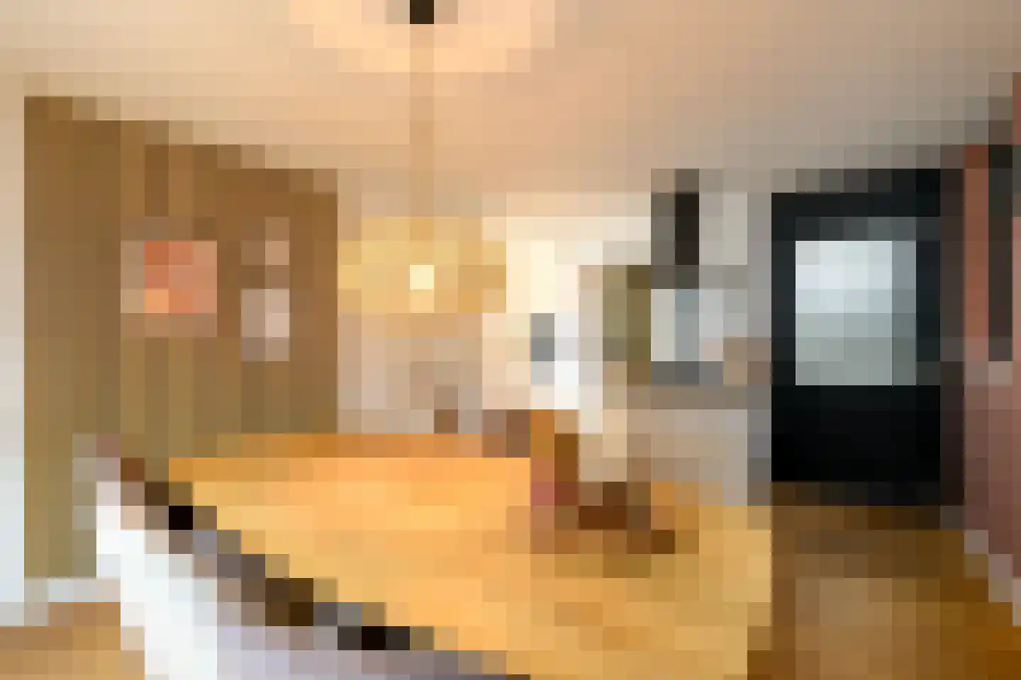 Bernhardlaan 33 Wolvega thumbnail 15