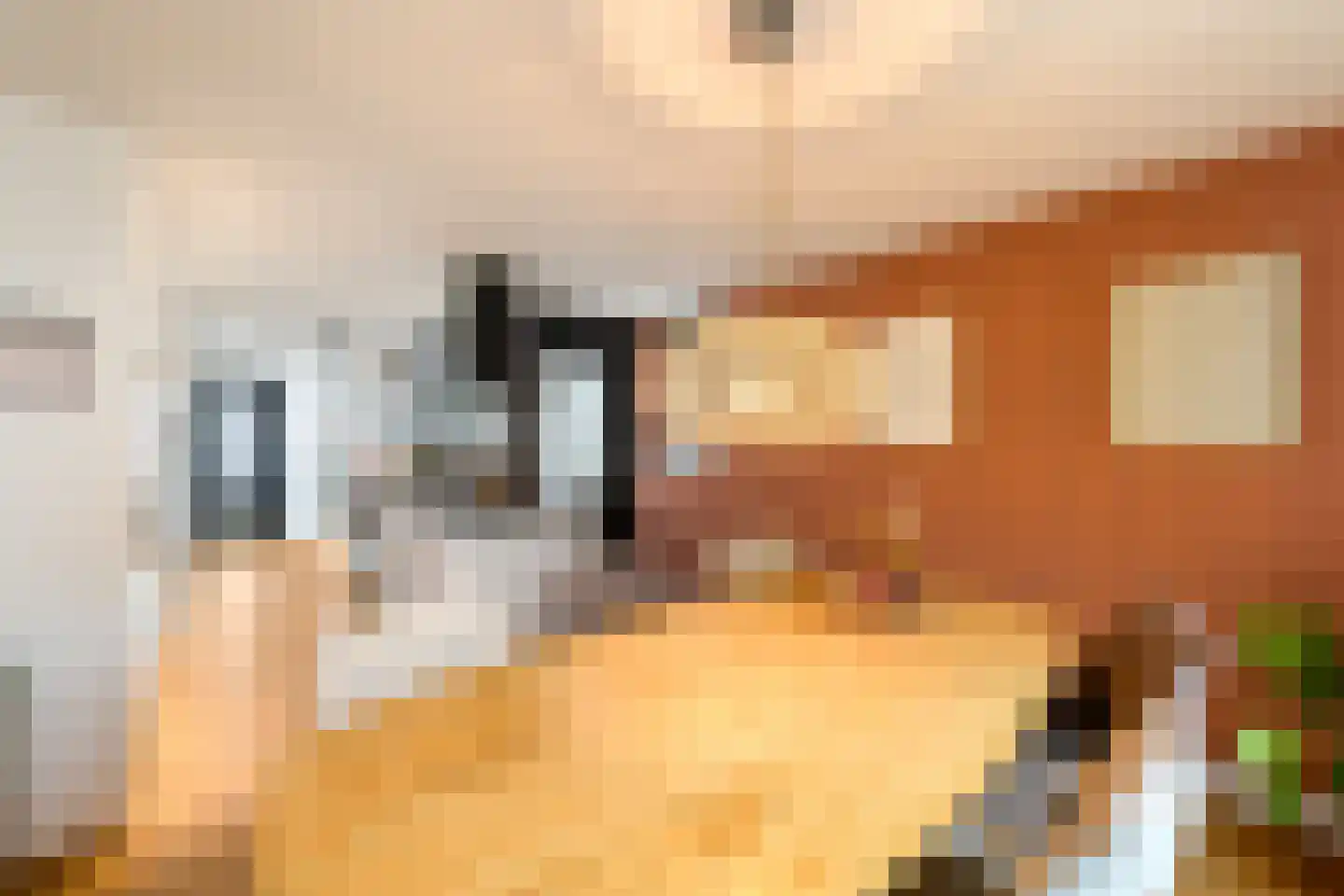 Bernhardlaan 33 Wolvega thumbnail 16
