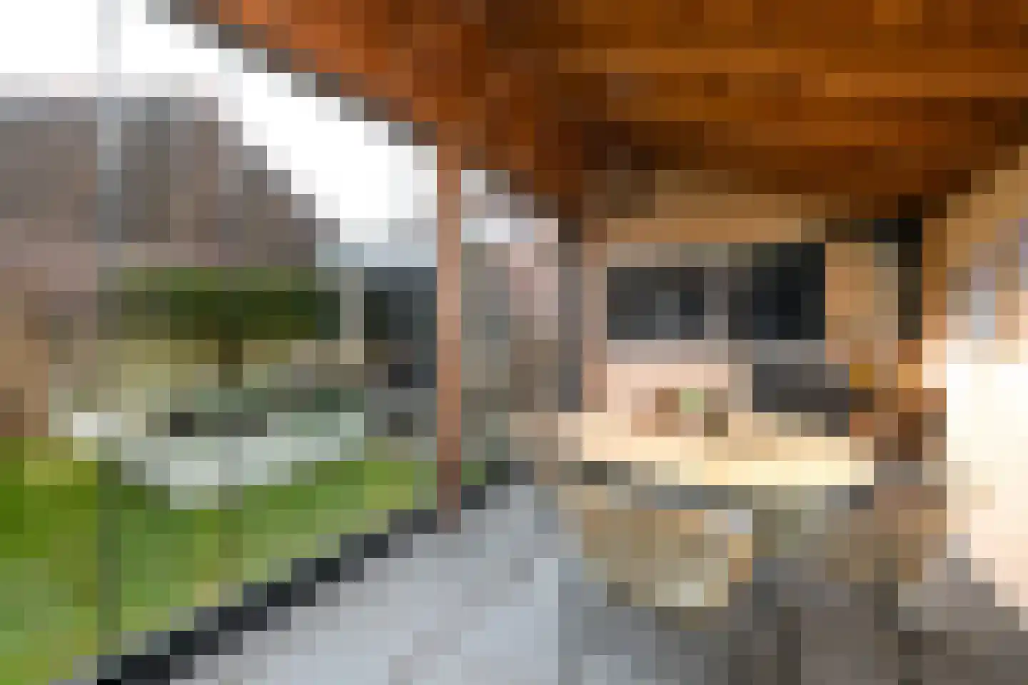 Bernhardlaan 33 Wolvega thumbnail 28