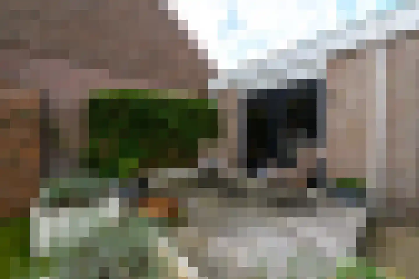 Bernhardlaan 33 Wolvega thumbnail 31