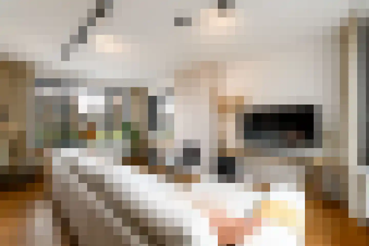 Bernhardlaan 33 Wolvega thumbnail 4