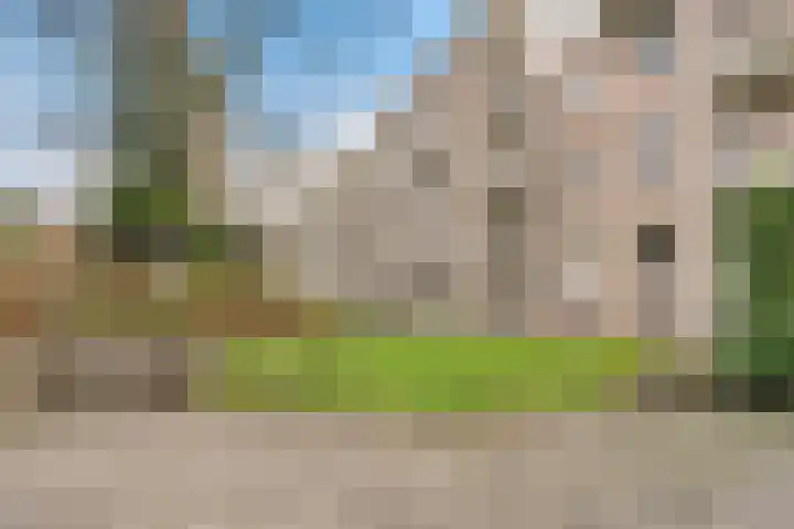 Bernhardlaan 35 3 Arnhem thumbnail 29