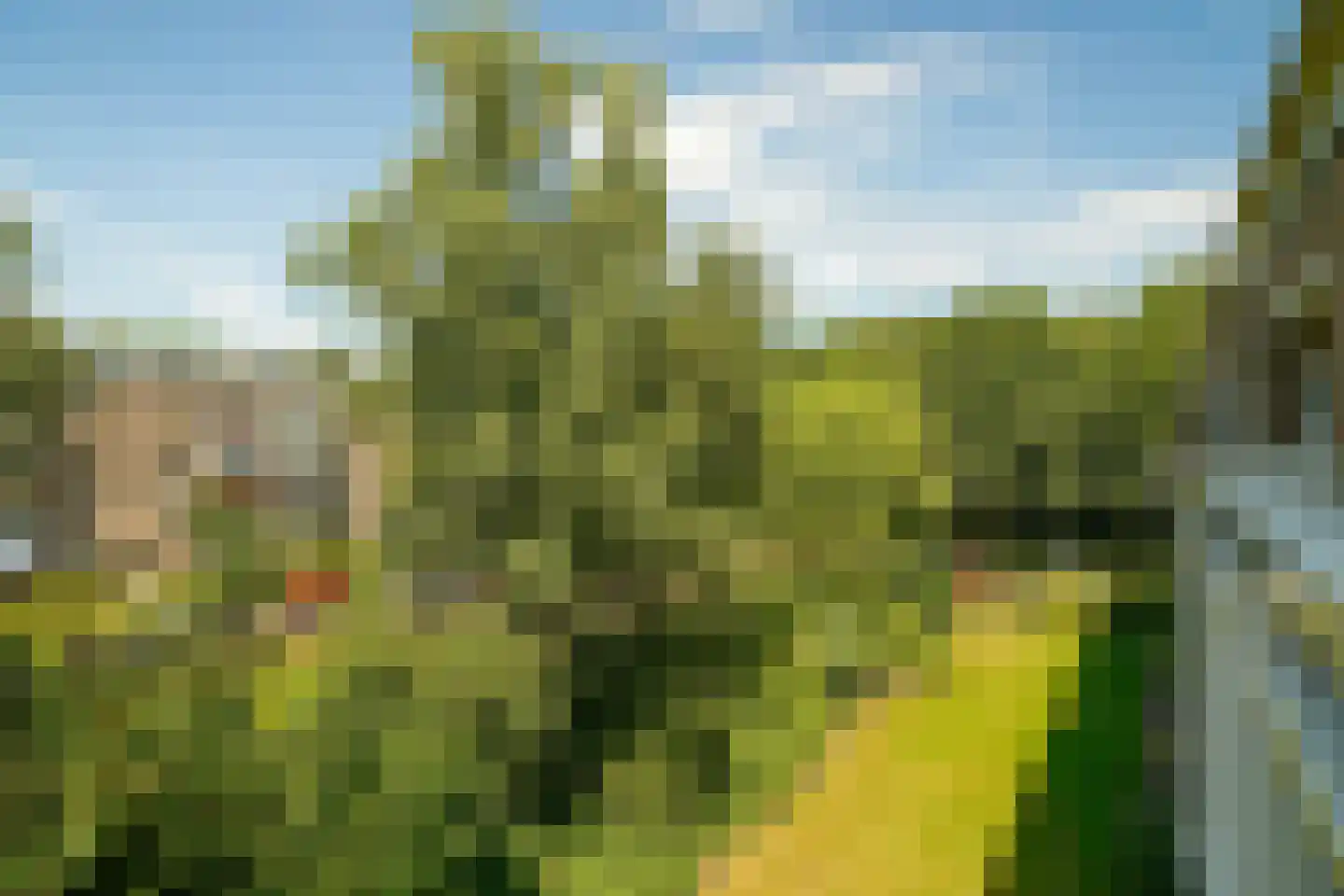 Bernhardlaan 35 4A Arnhem thumbnail 14