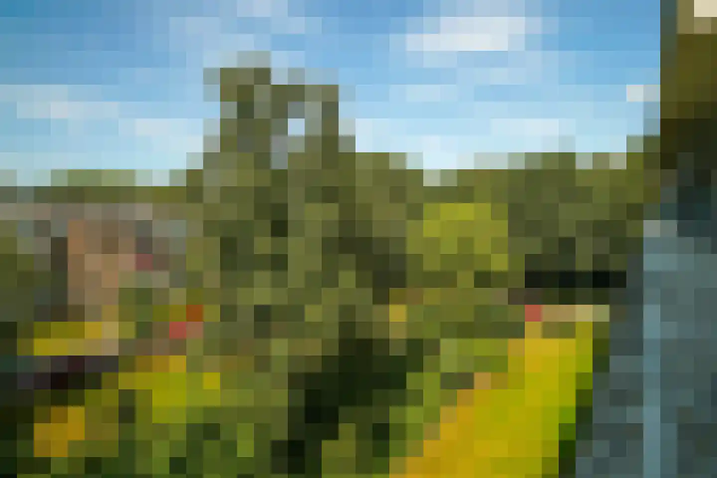 Bernhardlaan 35 4A Arnhem thumbnail 18
