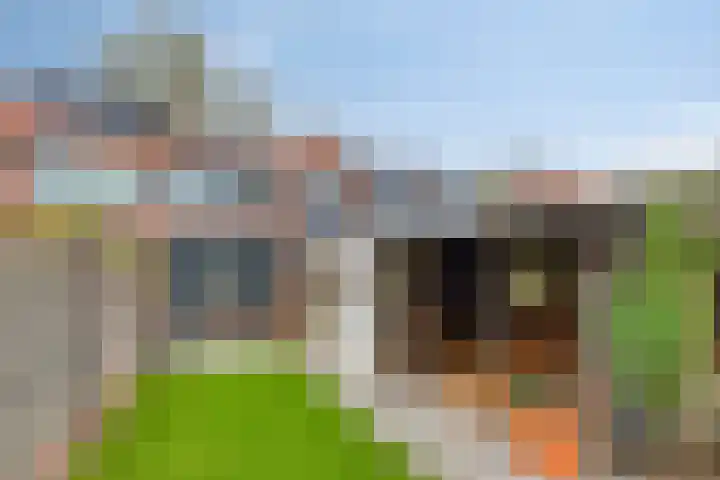 Bernhardlaan 35 Etten-Leur thumbnail 23