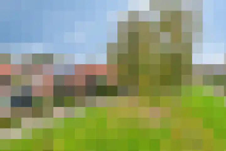 Bernhardlaan 35 Etten-Leur thumbnail 28
