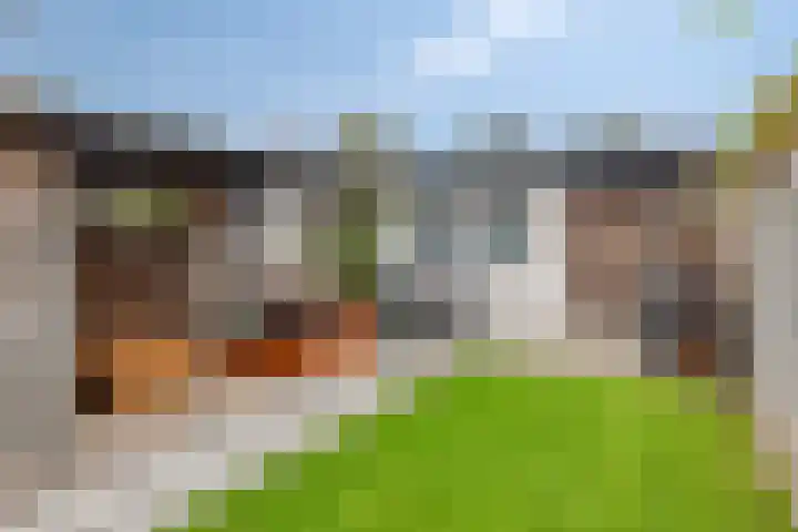 Bernhardlaan 35 Etten-Leur thumbnail 4