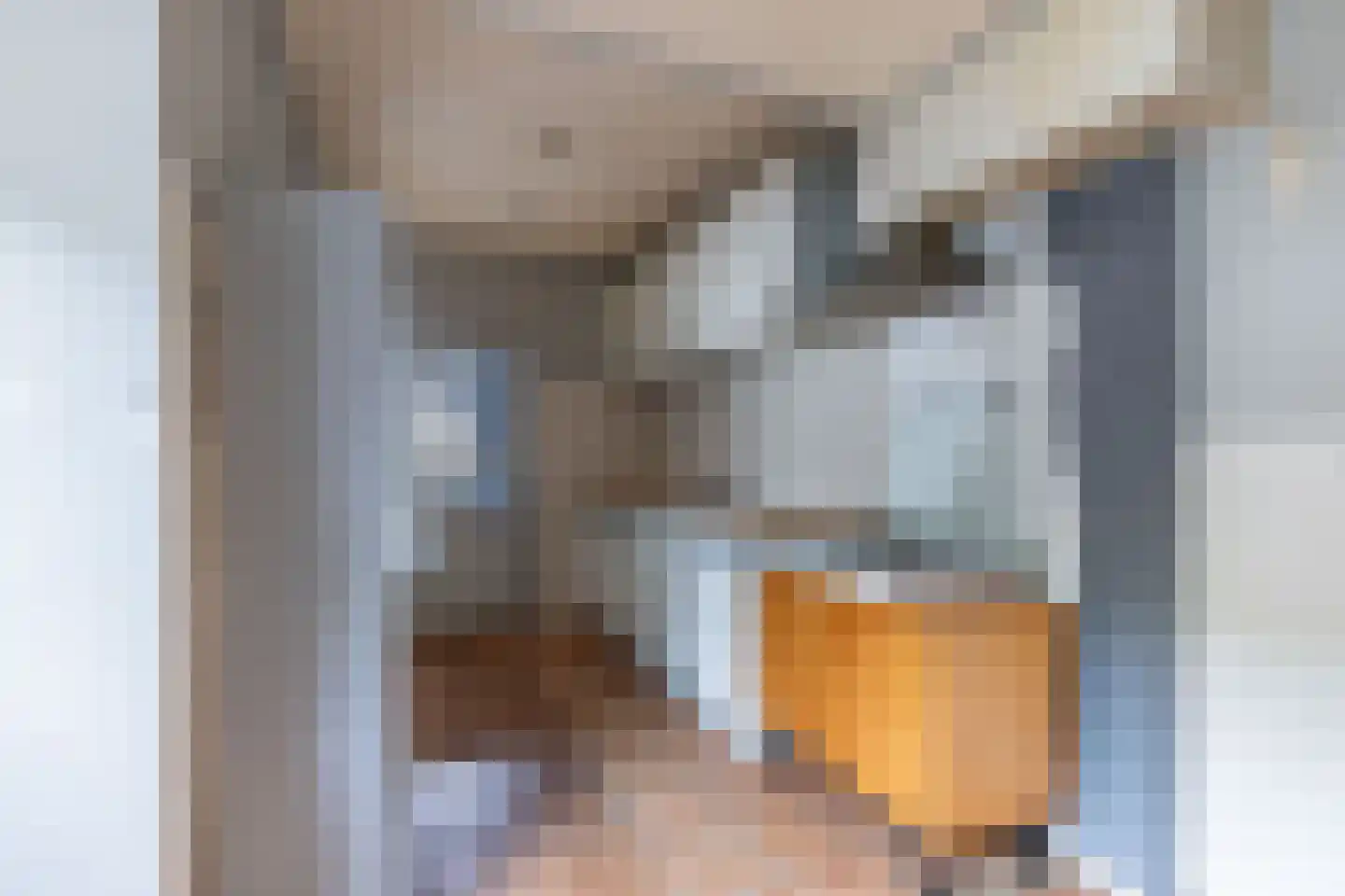 Bernhardlaan 39 Wolvega thumbnail 15