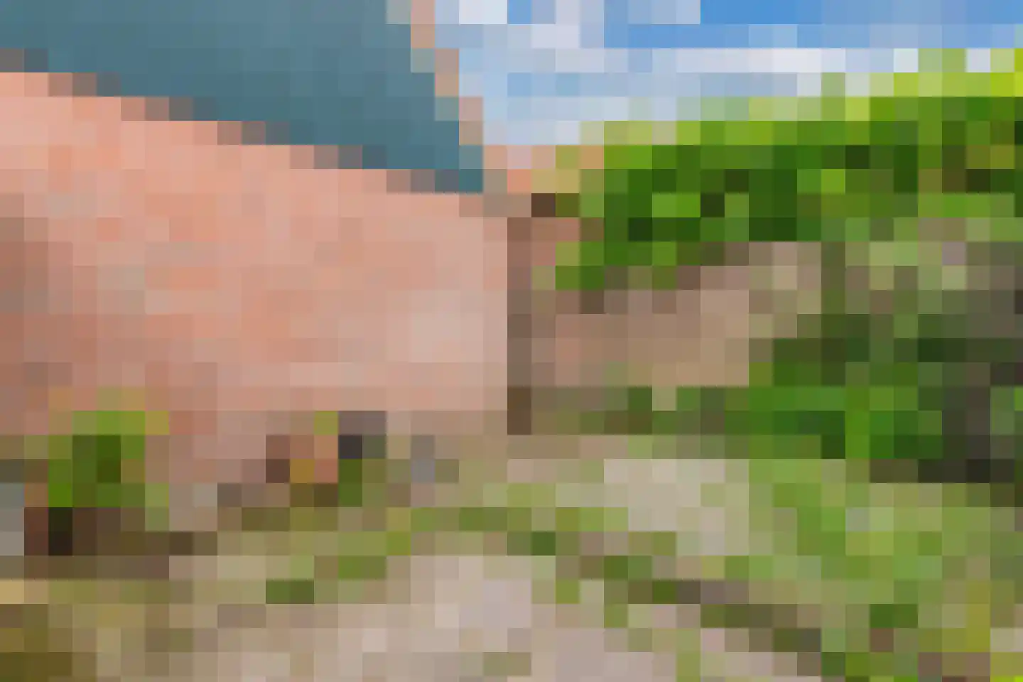 Bernhardlaan 39 Wolvega thumbnail 33