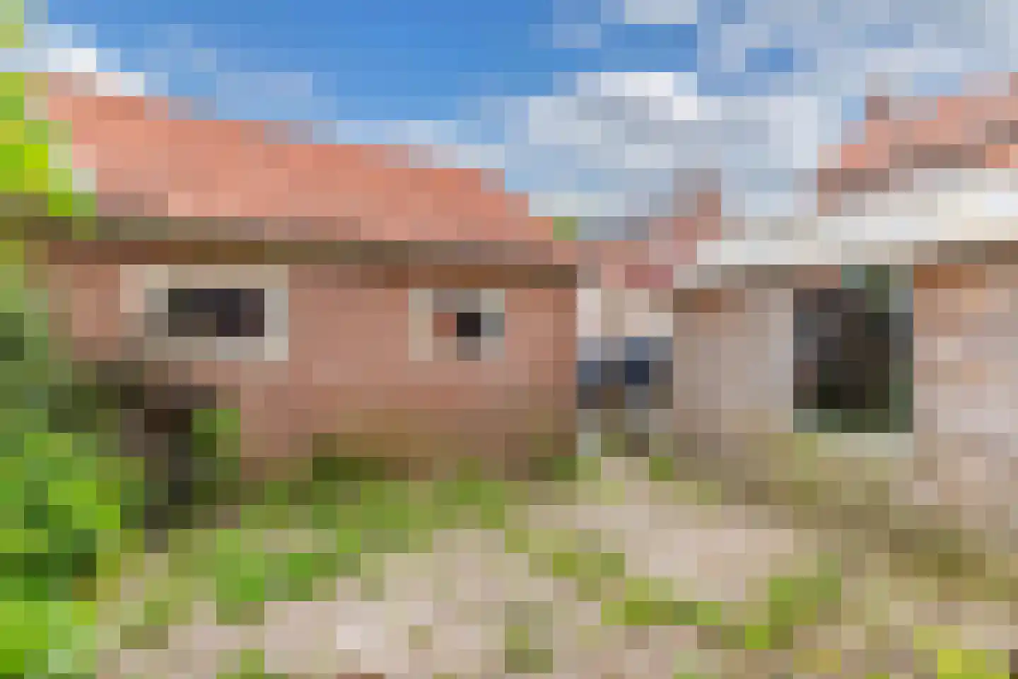 Bernhardlaan 39 Wolvega thumbnail 34