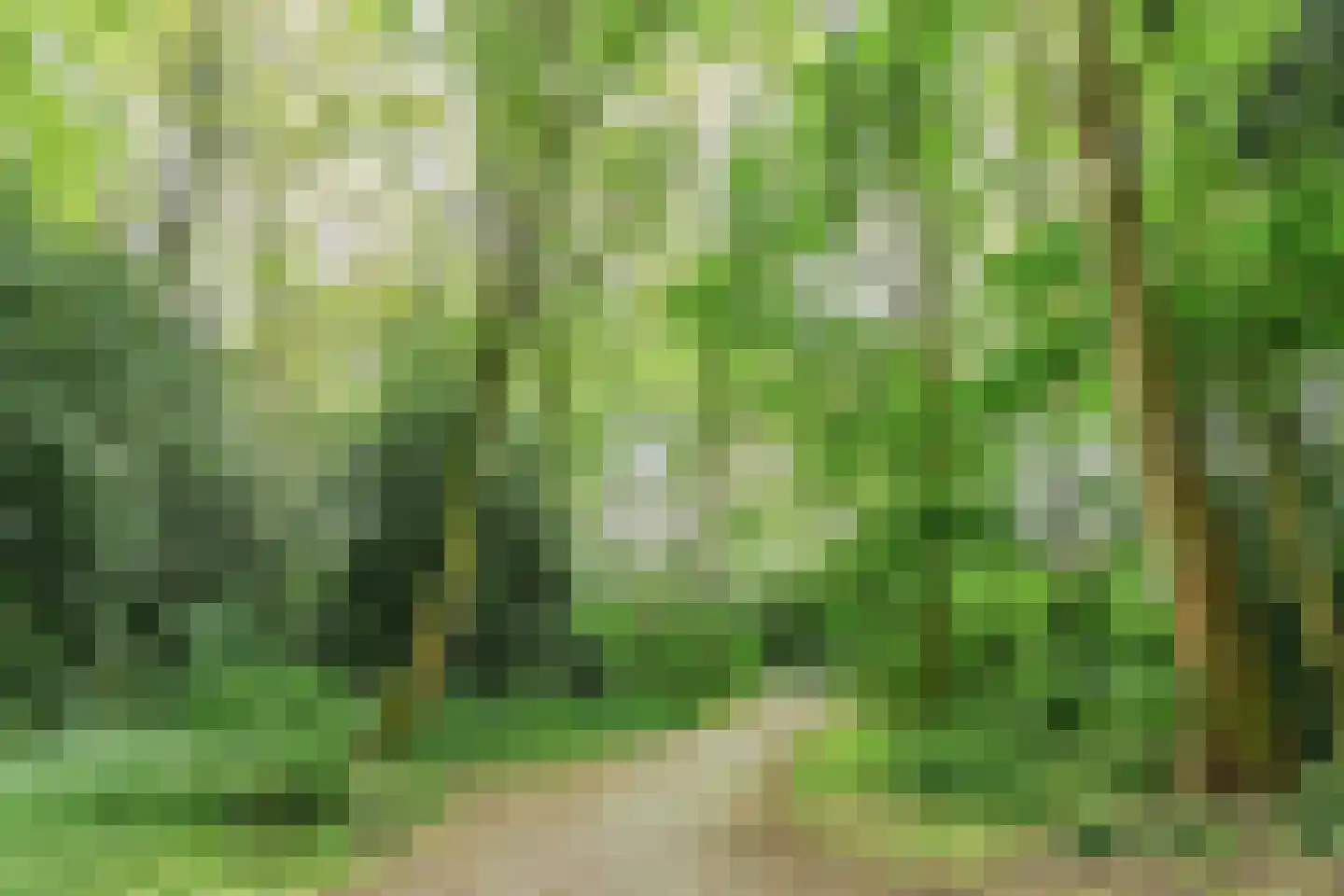 Bernhardlaan 39 Wolvega thumbnail 37