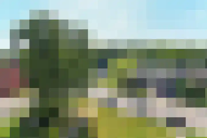 Bernhardlaan 41 4 Arnhem thumbnail 15